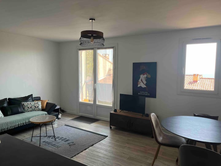 T1 Bis avec vue sur les îles sanguinaires !