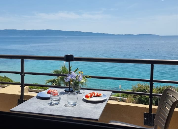 Beau Studio vue sur mer, route des sanguinaires. - 2