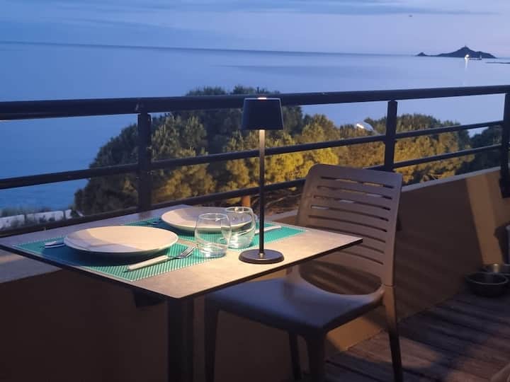 Beau Studio vue sur mer, route des sanguinaires. - 4